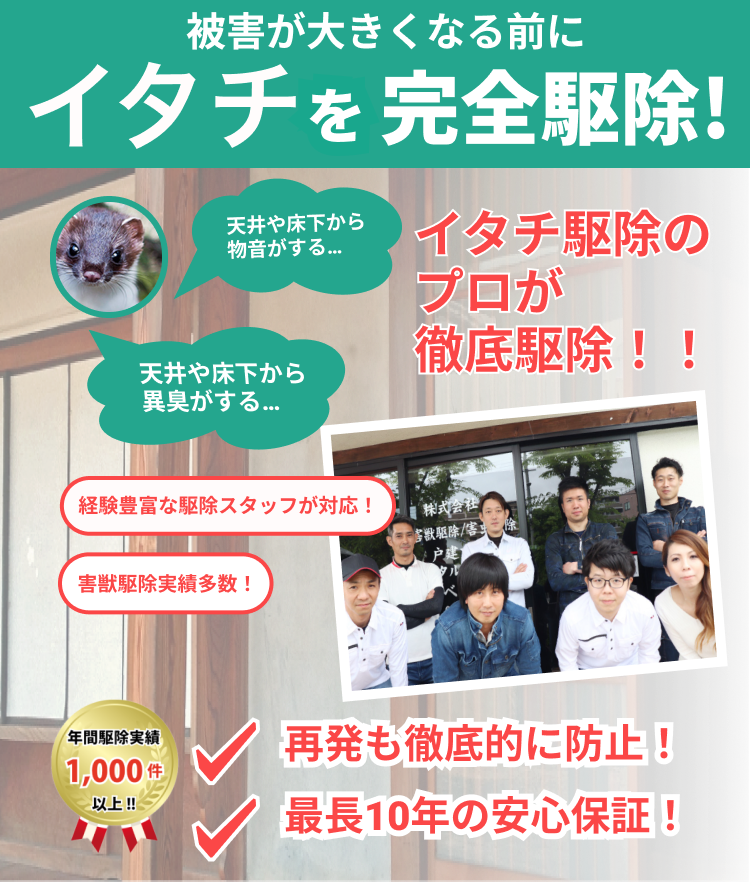 兵庫県川西市でのネズミ、イタチなどの害獣被害は害獣駆除にお任せください！すぐに電話でご連絡ください！